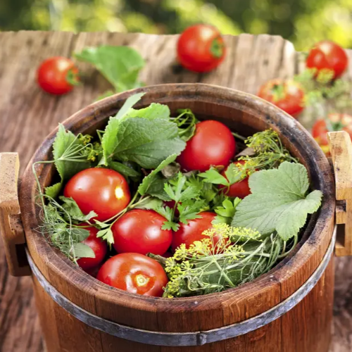 Томат Бінго F1 для соління 10шт Професійне насіння Житомир - фото 3