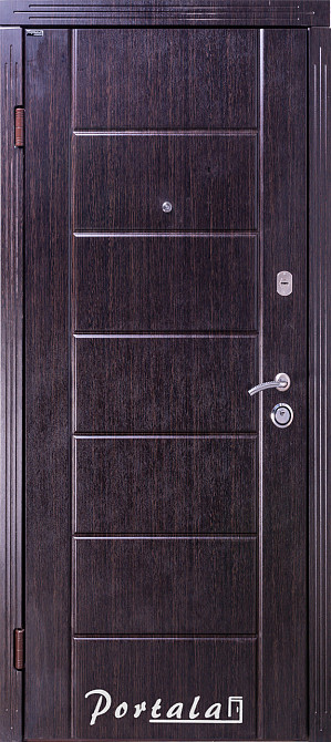 Двери квартирные, серия Люкс+Кале, модель Токио, гнутый профиль, коробка 100 мм, полотно 76 мм, Кале 850 Киев - изображение 1