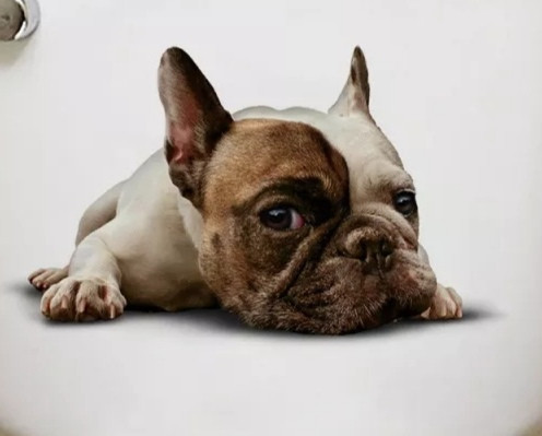 Наклейка декоративаная Бульдог Киев - изображение 1