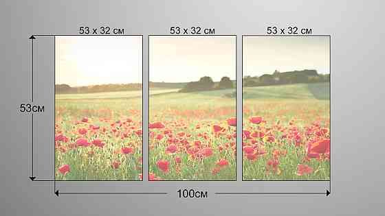 Модульная картина Поле Маки Аrt-187_3А Киев