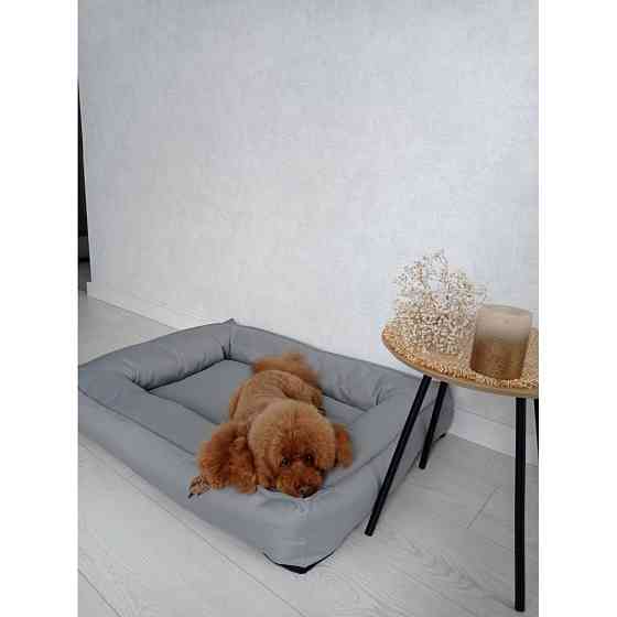 Водонепроникний лежак лежанка спальне місце для тварин зі знімним чохлом сірий XL (105 см) Київ