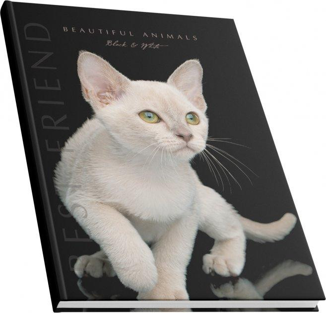 Книга канцелярська А4/192 арк."Аркуш""Білий кіт" # офсет, тверда обкл., 1В2381, шт Київ - фото 1