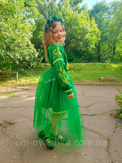 Детское вышитое платье с колосками Кривой Рог - изображение 6