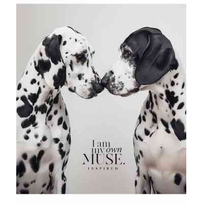 Зошит Школярик Main portrait 96 аркушів клітинка (096-3476K) Вінниця