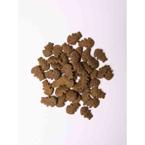 Хрусткі ласощі Savory Skin and Coat with Salmon and Marigolds для собак усіх порід для здоров’я шкіри та шерсті з лососем та Київ