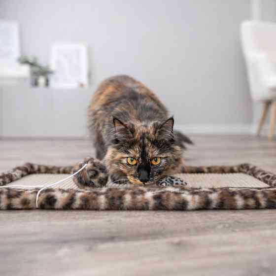 Іграшка Trixie для котів Вудочка з серцем котяча м_ята плюш/дерево 50 см Київ