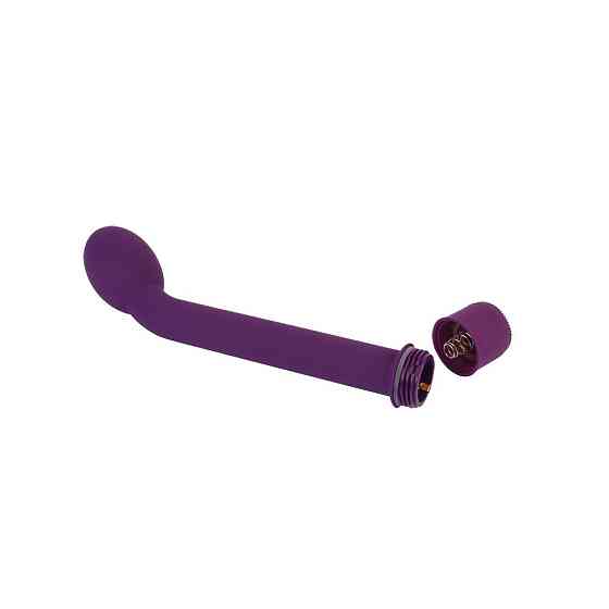 Вибратор Chisa HI-BASIC для точки G, фиолетовый Sex Aura Киев