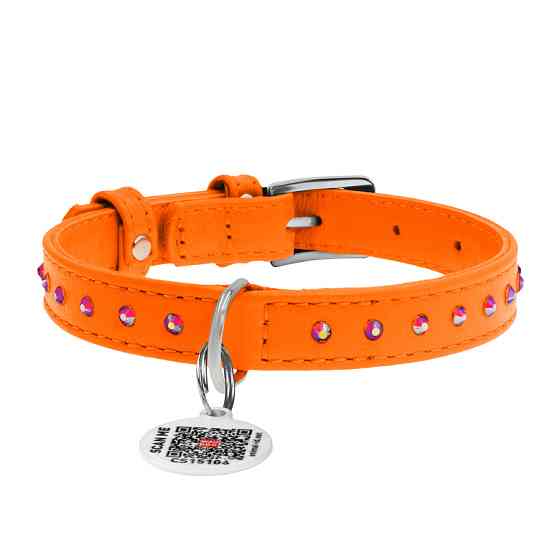 Нашийник для собак шкіряний WAUDOG Glamour з QR паспортом, з клейовими стразами, Ш 15 мм, Дов 2 Коломыя