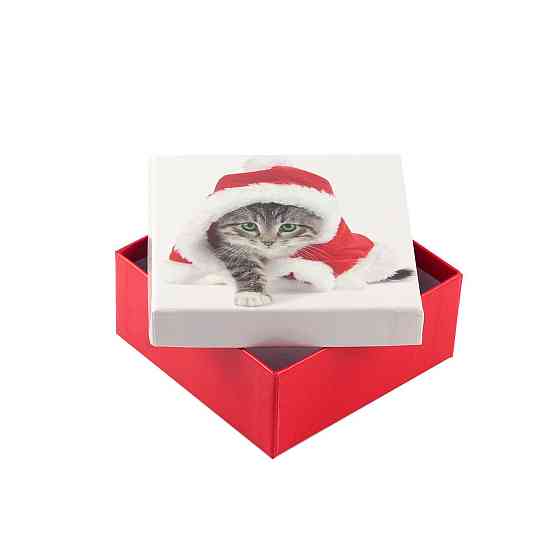 Коробка подарункова ООТВ Santa Cat 8 х 8 х 8 см Рівне