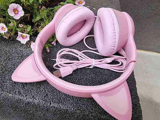 Провідні навушники AKZ-022 ( Б клас) Луцк