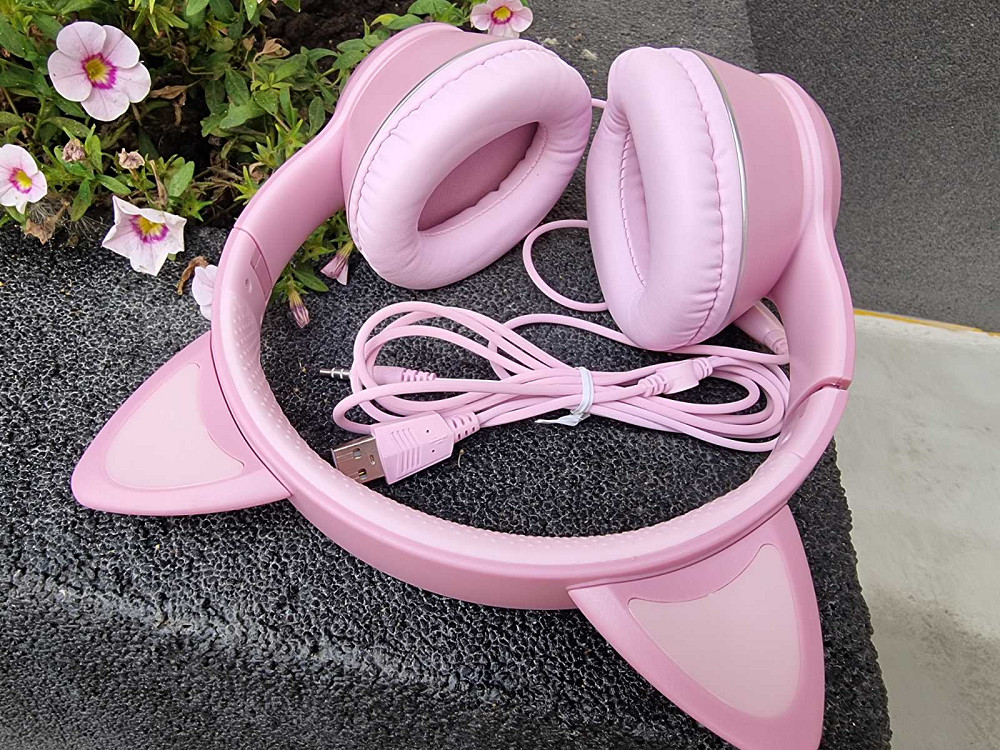 Провідні навушники AKZ-022 ( Б клас) Луцк - изображение 1