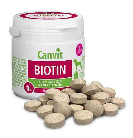 Canvit Biotin (Канвіт Біотин) вітамінна харчова добавка для ідеальної вовни собак до 25 кілограмів. 230 г. Запоріжжя