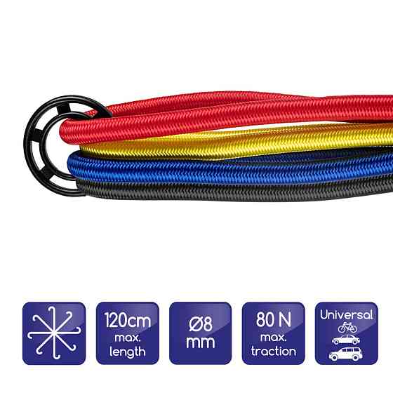 Ремені для кріплення вантажу 4х80см "Transport Flex Oktopus" Alca, 881000 Київ