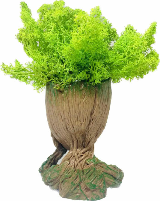 Кашпо горшочек со стабилизированным мхом Грут Groot G1 Винница - изображение 4