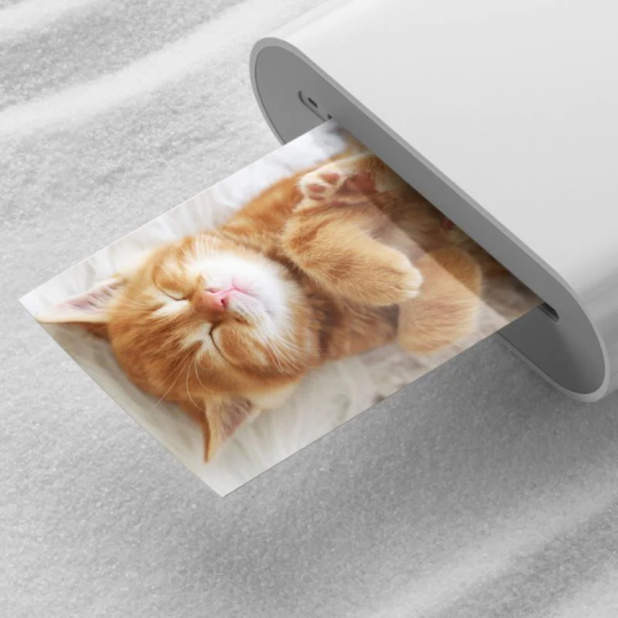 Фотобумага для принтера Xiaomi Mi Portable Photo Printer 5x7.6 см 20 шт фото бумага TEJ4019GL XMBXZ01HT Одесса