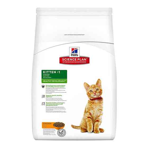 Сухой корм Хиллс Hill's SP Kitten для котят до 1 года с курицей 300 г Винница