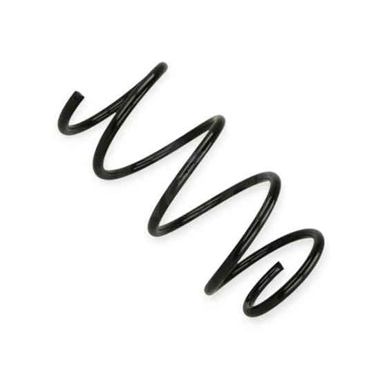 Пружина BMW 5 (E60) 525, 530d (02-10) передняя Мукачево