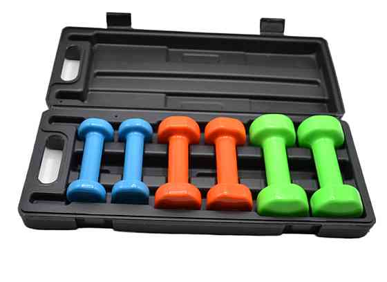 Набір гантелей в кейсі 6 кг. PowerPlay 4103 Fitness Dumbells (2шт.*0,5кг. 2шт.*1кг. 2шт.*1,5кг.) Кам'янське