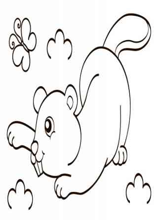 Детская водная раскраска: Дикие животные 734008, 8 страниц Винница