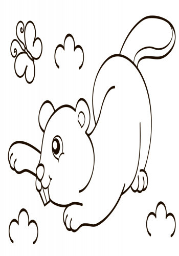 Детская водная раскраска: Дикие животные 734008, 8 страниц Винница - изображение 6