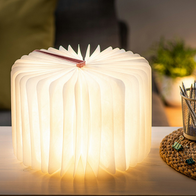 Світильник-книга на акумуляторі Gingko Mini Urban (Рожевий) Київ - фото 5