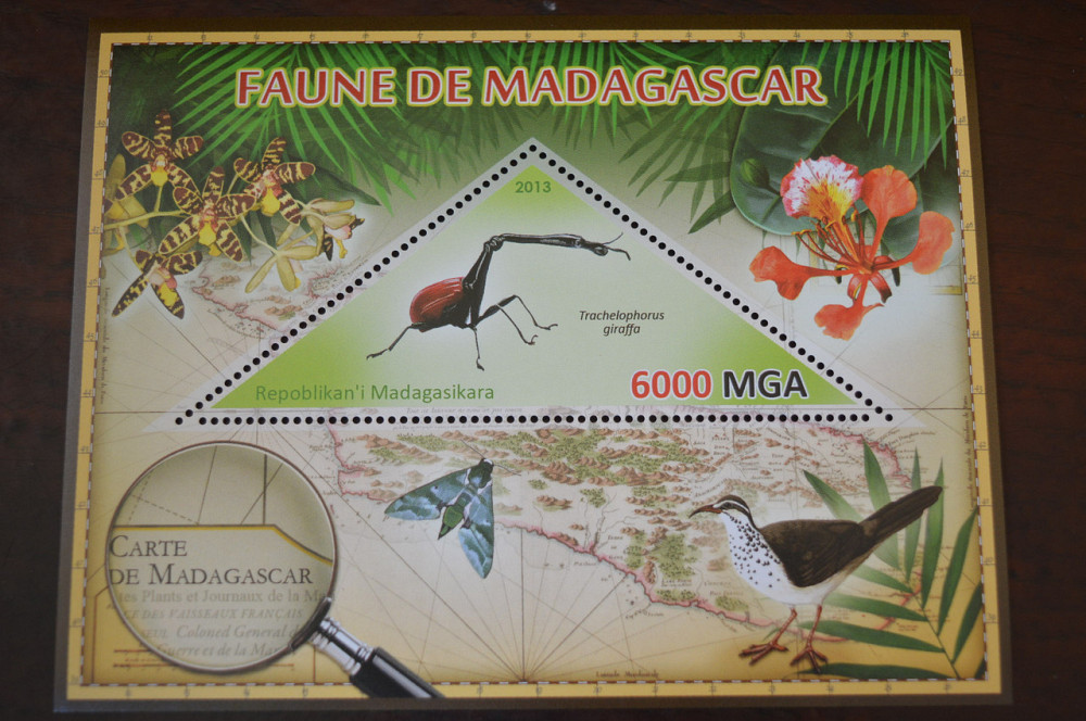 Мадагаскар. Фауна. Личности. Блок. 2014 р. (А-34) Полтава - фото 1