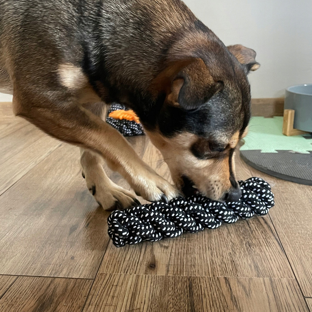 Набор игрушек для собак 10 предметов для обучения и для развлечения Purlov (24388) Нововолынск - изображение 6