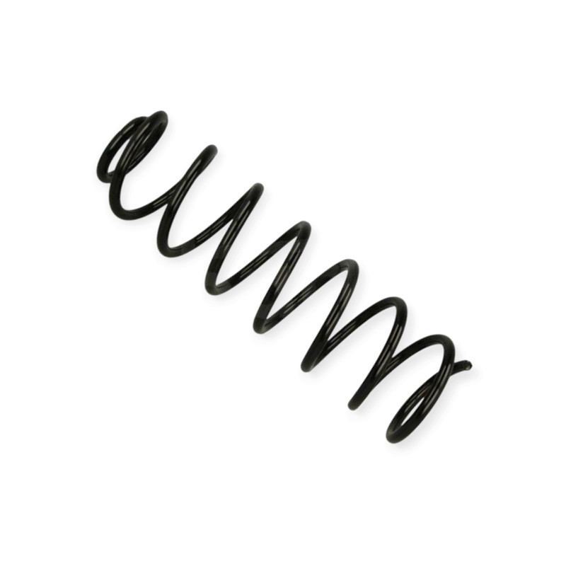 Пружина Audi A4 B5 95- (универсал) задняя Мукачево - изображение 1