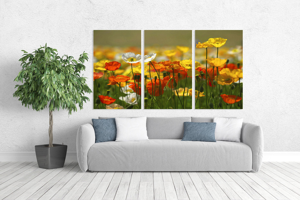 Модульная картина в гостиную / спальню   Маки в полі     ART-017_3A 100х150 см Киев - изображение 2