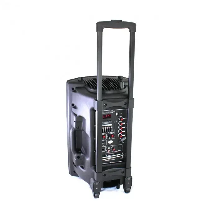 Портативна колонка Su-Kam BT 120D + 2 бездротові мікрофони (12v\220v) Одеса - фото 3