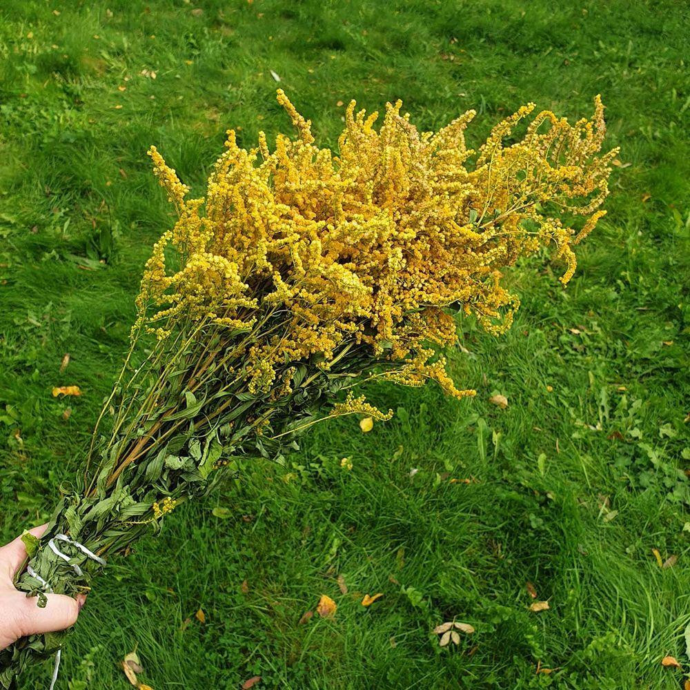 Веник запарочный для бани, ванны, сауны 