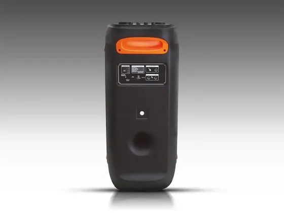 Акустична переносна колонка ZXX-5509 1200Вт 2x6,5" 265х265х620мм TWS/FM/USB/TF/BT/LED/REC/ДК/MIC Одеса