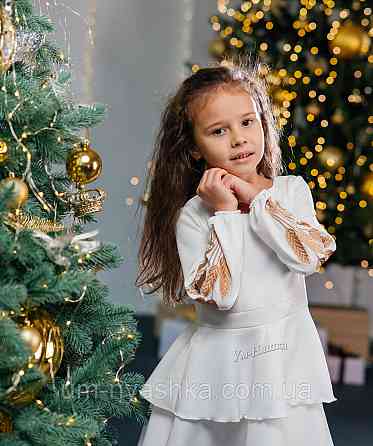 Дитяче плаття з вишивкою на рукавах Поділля-колоски Кривий Ріг