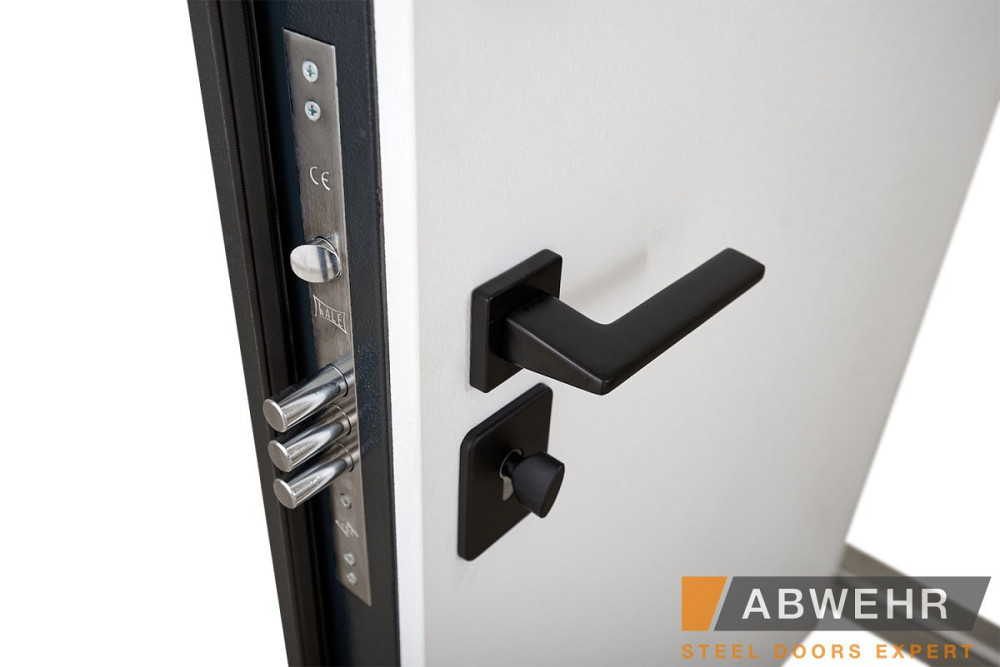 Двери уличные, модель 498 Scandi RAL 7021 ТЕРМОРАЗРЫВ 860 Киев - изображение 8