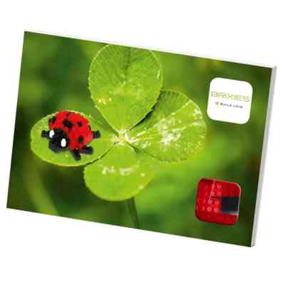 Конструктор BRIXIES Солнышко (220.019) Винница