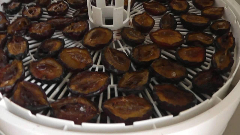 Сушіння сливи натуральна 0,500 гр Київ - фото 1