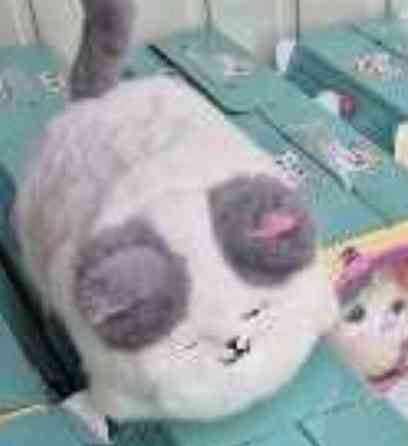 Детская Игрушка мягкая интерактивная лучший друг Киса Котик белый. Харьков