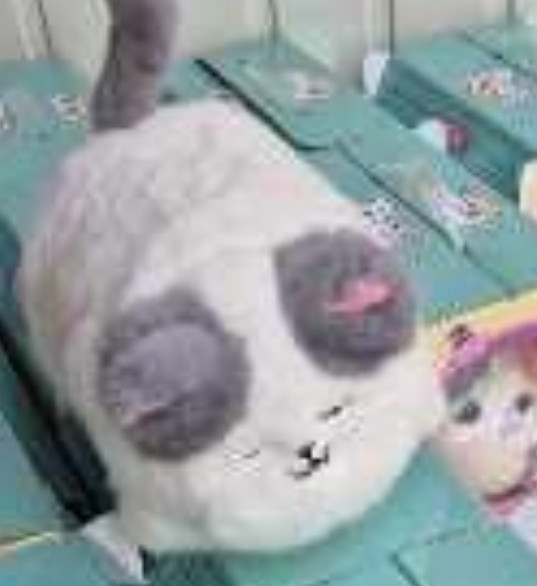 Дитяча Іграшка мʼяка інтерактивна Кращий друг Киця Котик білий. Харків - фото 1