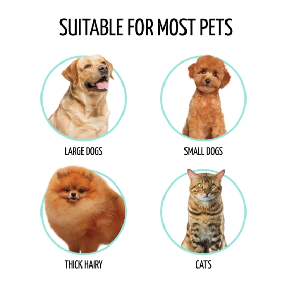 , L Киев