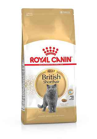 Royal Canin British Shorthair Adult (Рояв Канін Брітіш Шортхайр) корм для кішок британська короткошерсна 4 кг. Запоріжжя