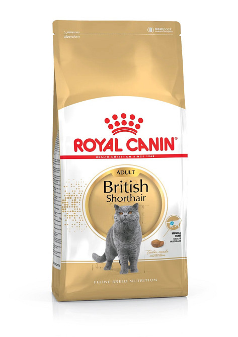 Royal Canin British Shorthair Adult (Рояв Канін Брітіш Шортхайр) корм для кішок британська короткошерсна 4 кг. Запоріжжя - фото 1