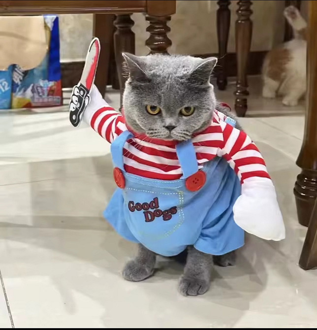 Костюм для собак і котів Чакі S на Хелловін різнокольоровий Київ - фото 4