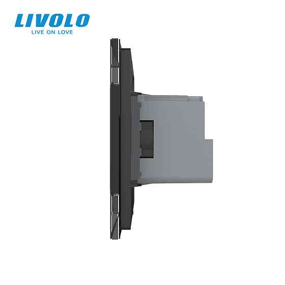 Радіокерована (дистанційна) розетка з пультом LIVOLO, чорна, з заземленням та захисними шторками, керування зі смартфона, Alexa, Google Home, 16А 230В Коломия