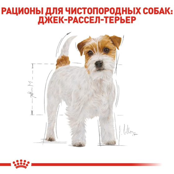 Royal Canin Jack Russel Adult (Рояв Канін Джек Рассел Едалт) корм для собак джек-сел-тер'єр від 10 місяців 1.5 кг. Запоріжжя