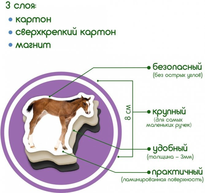 Набір магнітів Magdum "Ферма Мами і малюки" ML4031-08 EN Вінниця - фото 4