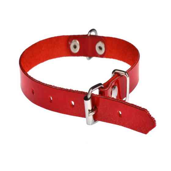 Нашийник 1302 12мм "Елегант" червоний Вінниця