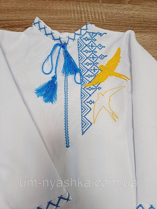 Хлопчача вишиванка "Ластівки" Кривий Ріг - фото 4
