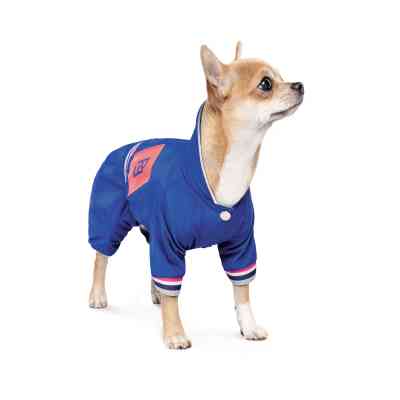 Дождевик для животных Pet Fashion Silver S (4823082429936) Винница