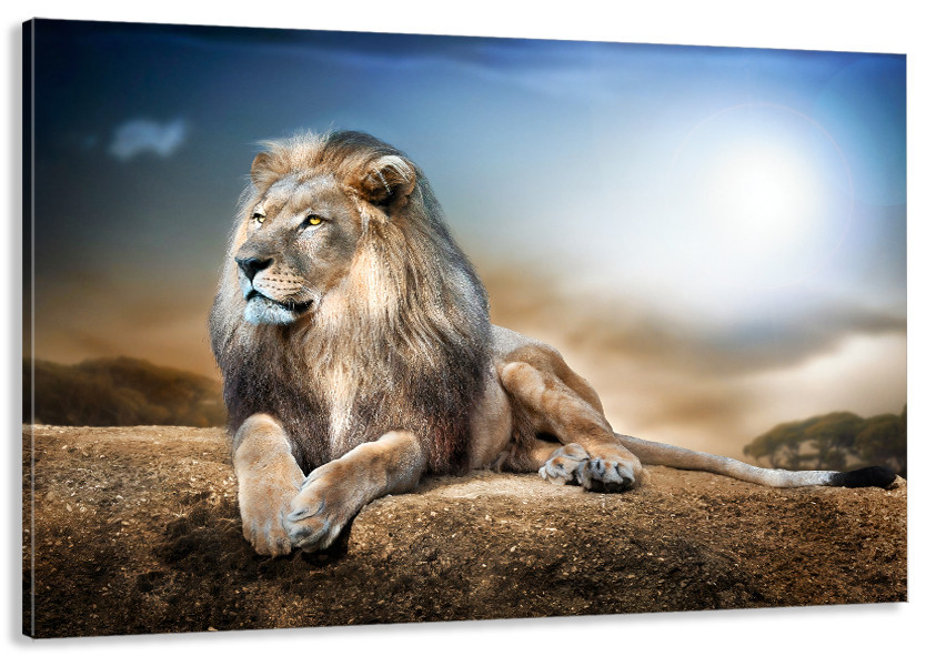 Картина холст у вітальню / спальню Лев   MLP_109  ( 60х30см ) 70x140 см Київ - фото 1