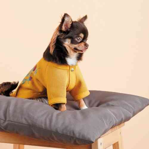 Кардиган Pet Fashion Denis жовтий XS Київ